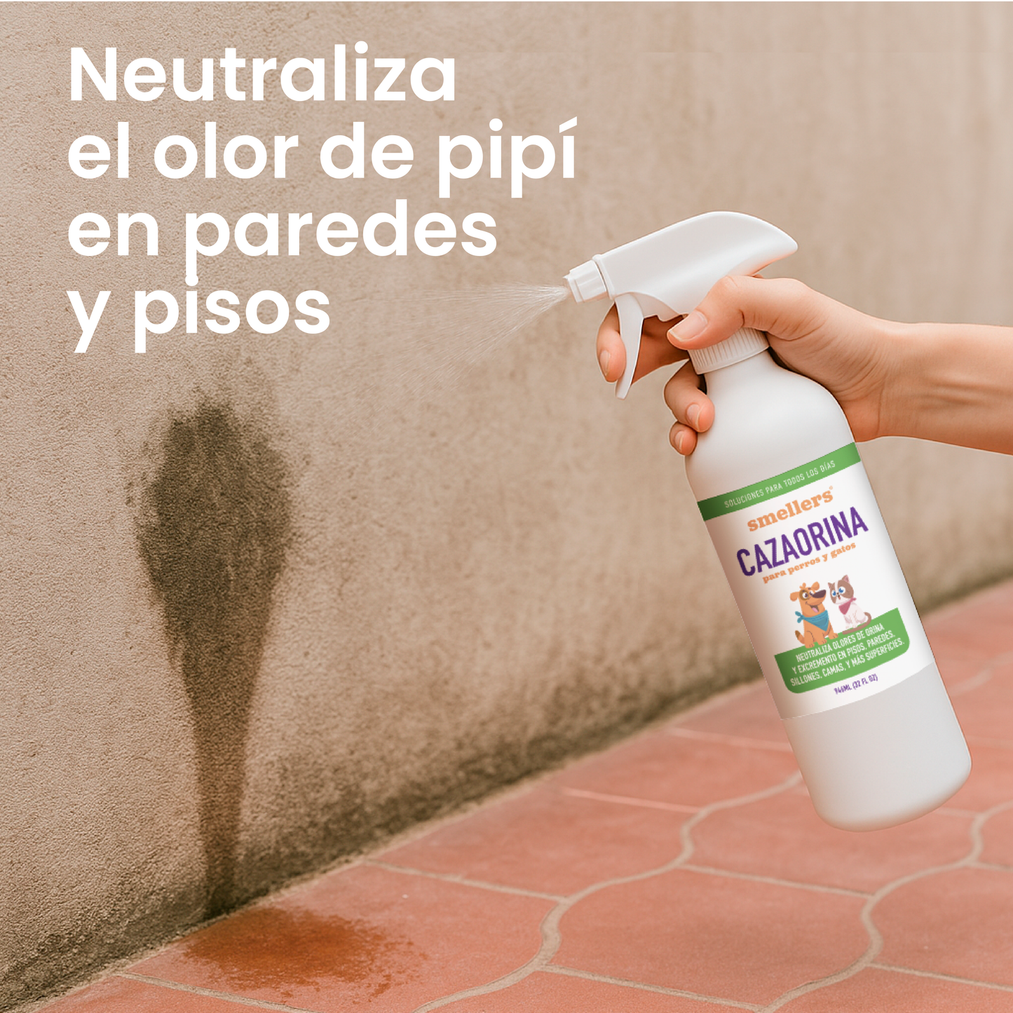 Cazaorina