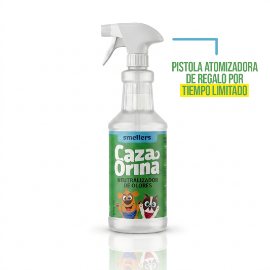 Cazaorina