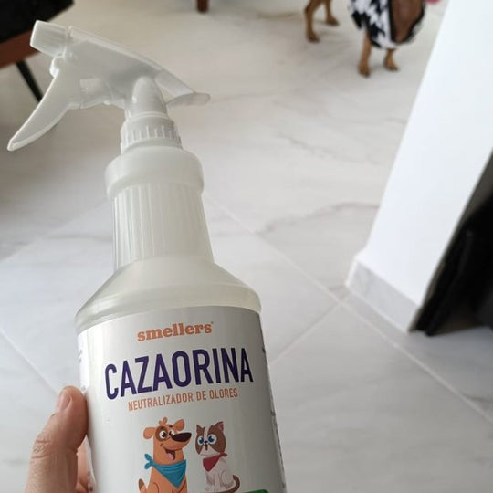 Foto de Altair S. con su Cazaorina
